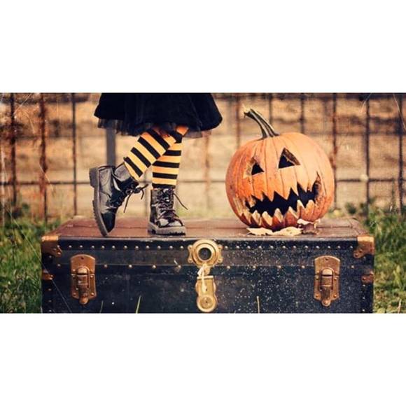 Meet your Posher, Mavy - Picture 1 of 1